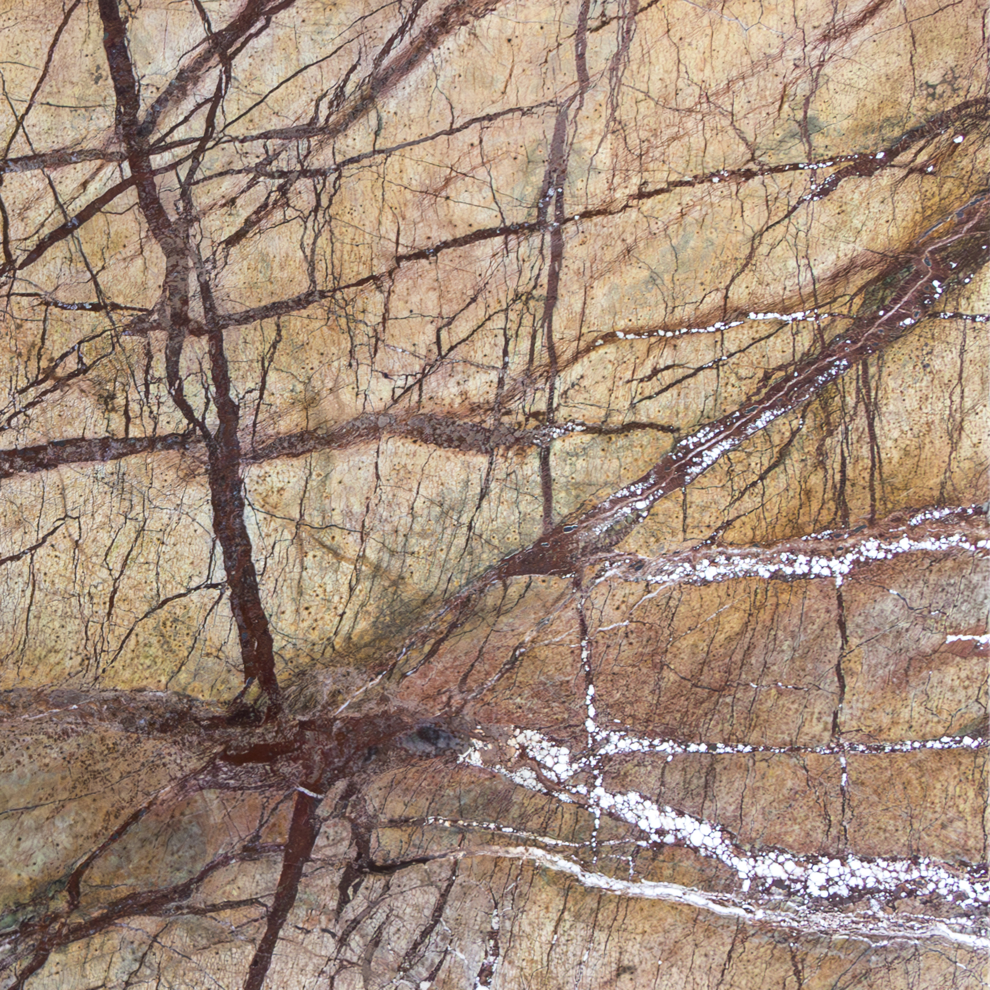 Rain Forest Blowh – Márvány