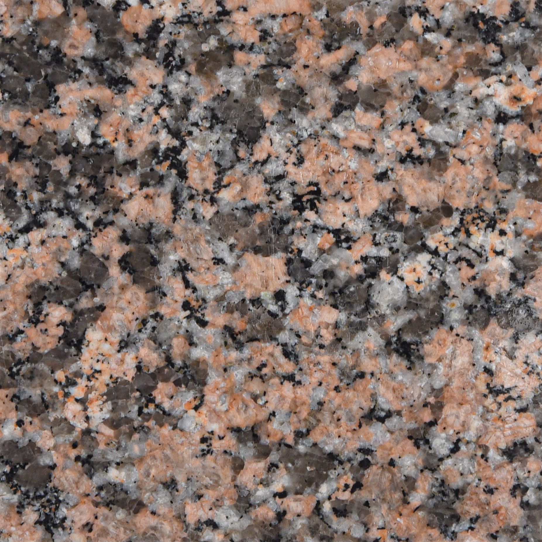 Rose El Nasr Dark - Gránit