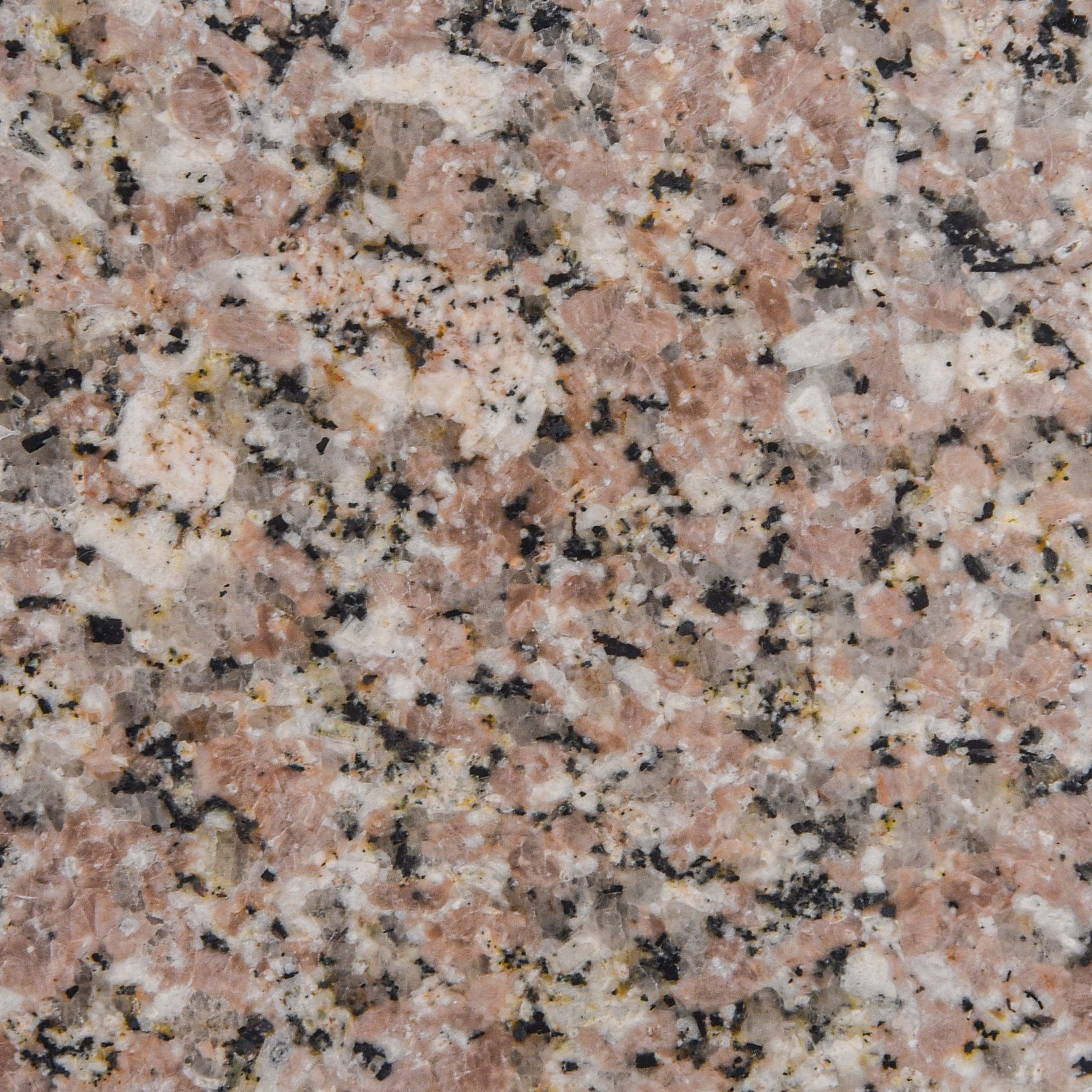 Rose El Nasr Light - Gránit