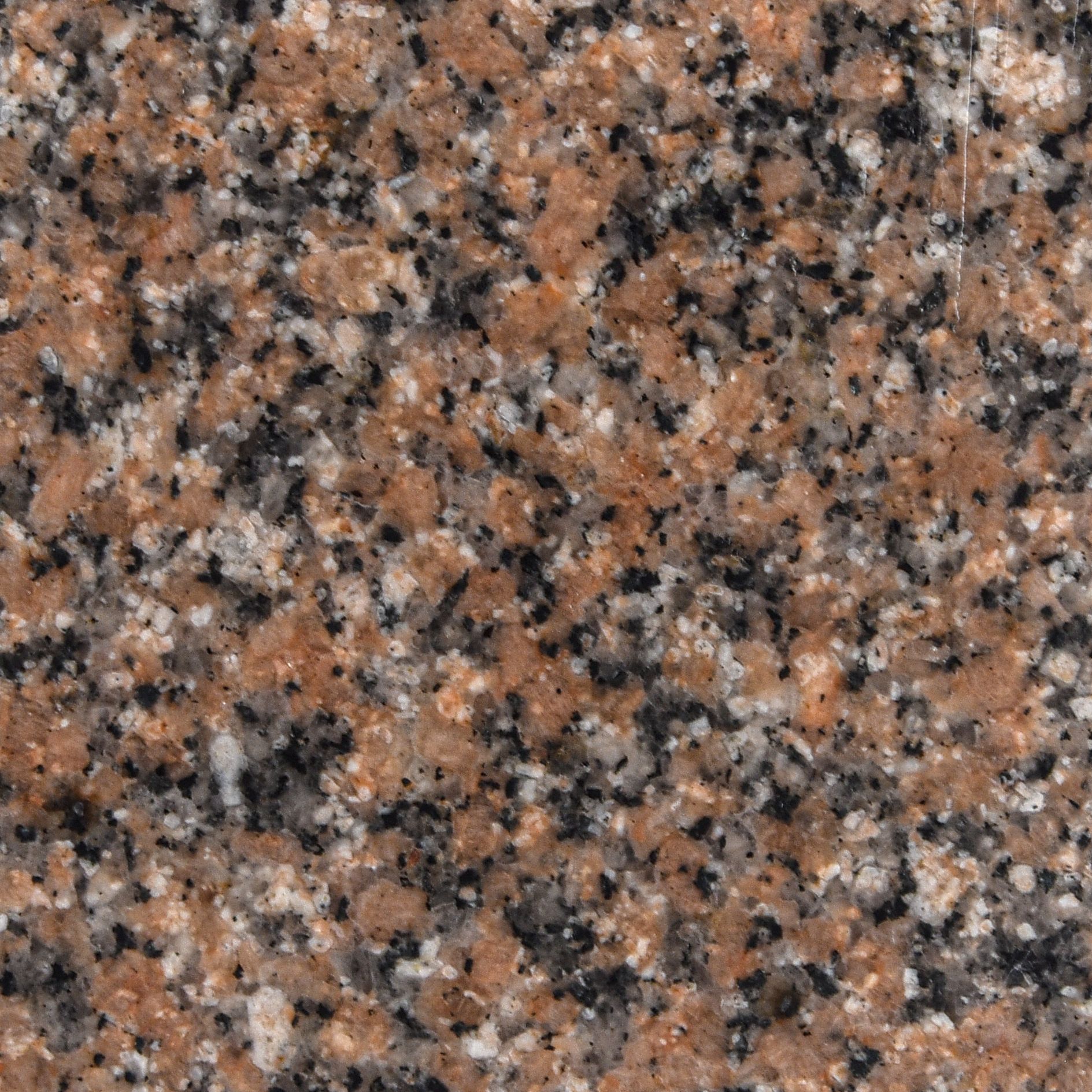 Rose Hoody Dark - Gránit