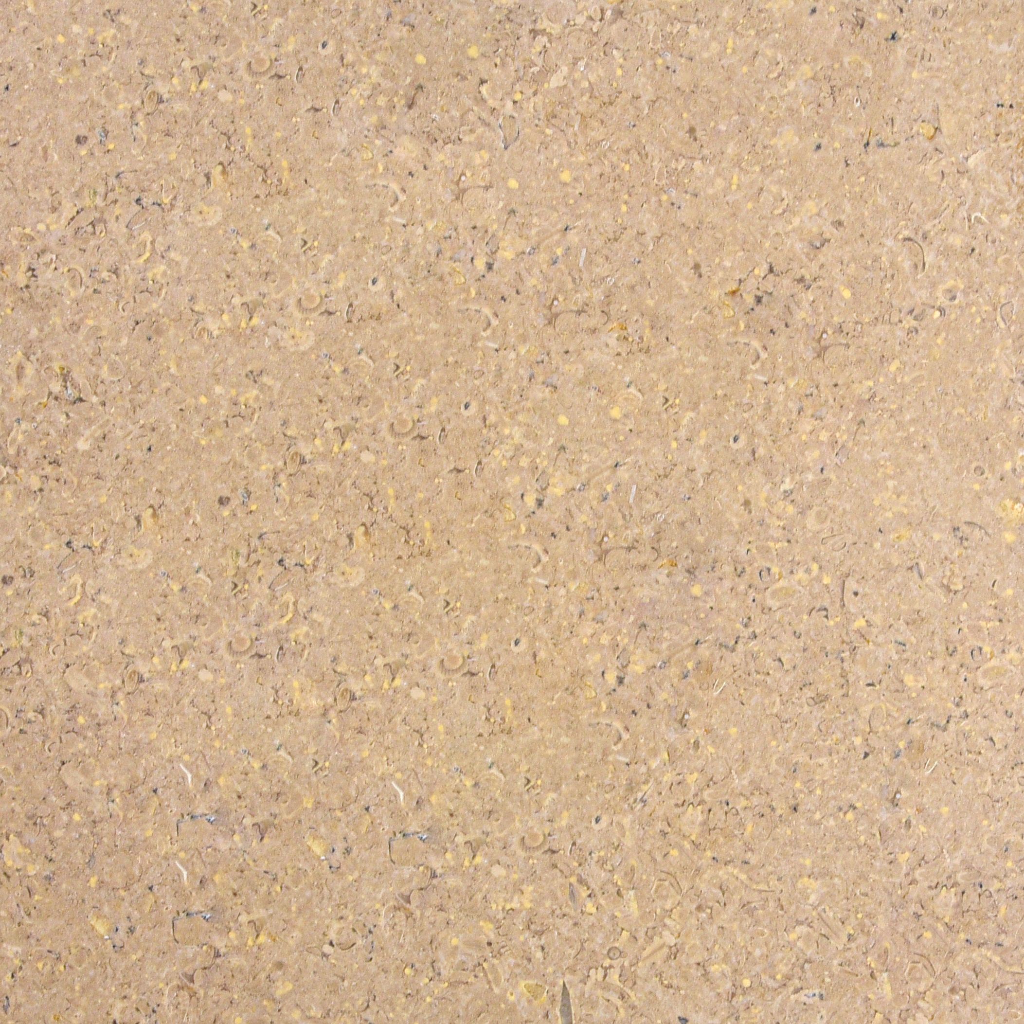 Sinai Pearl Brushed - Márvány