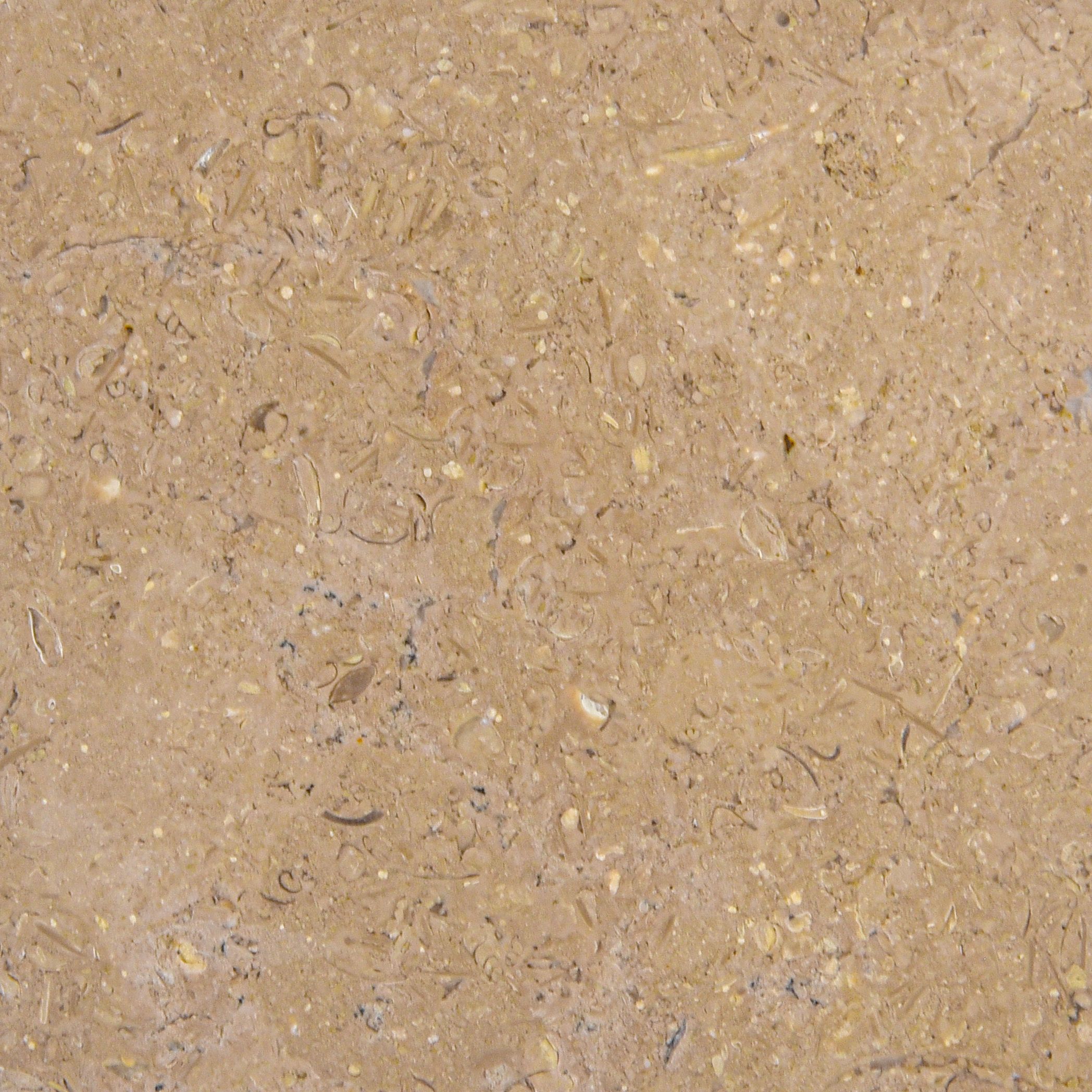 Sinai Pearl - Dark Biege - Márvány