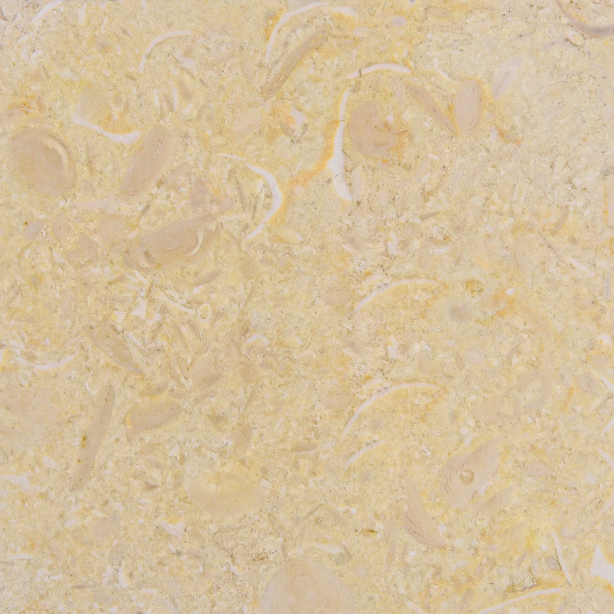 Sunny Mania Fas - Márvány