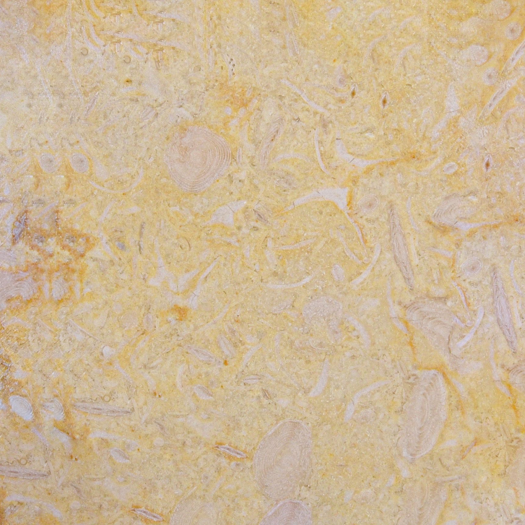 Sunny Mania II - Márvány